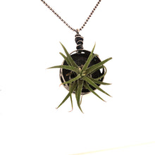 Load image into Gallery viewer, Air Plant Necklace