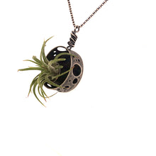 Load image into Gallery viewer, Air Plant Necklace
