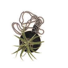 Load image into Gallery viewer, Air Plant Necklace