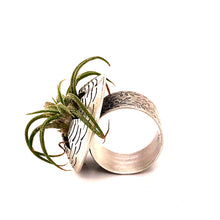 Load image into Gallery viewer, Air Plant Ring
