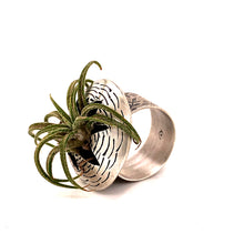 Load image into Gallery viewer, Air Plant Ring