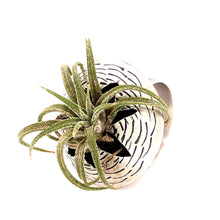 Load image into Gallery viewer, Air Plant Ring